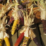 ornamental corn bundles of red, yellow and multicolor