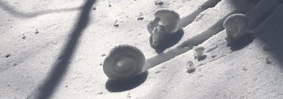 snow rollers on hill