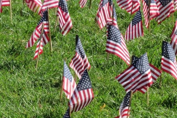 American flags on lawn