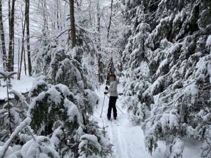 women on XC skis, in forest with a lot of snow
