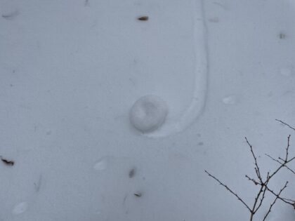 1 snow roller on its side on the snow.