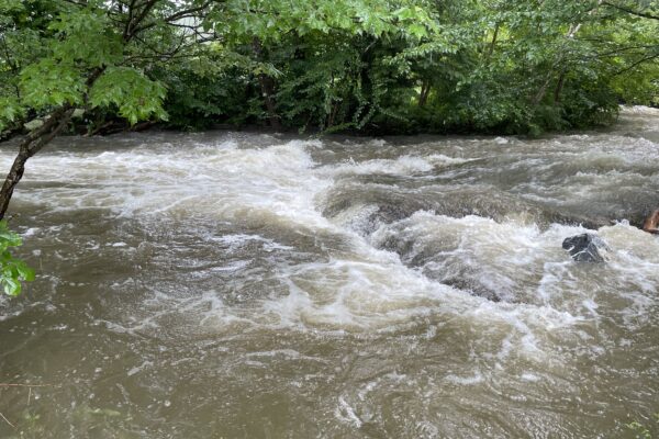 flat rock under a raging stream