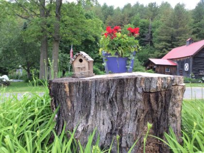 tree stump. flower pot, birdhouse, flagpole, barn, reeds