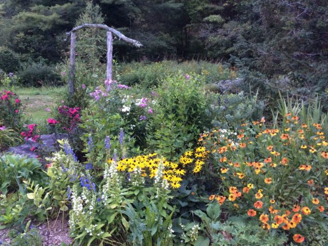 pink, yellow, orange, white flowers in garden with wood arch