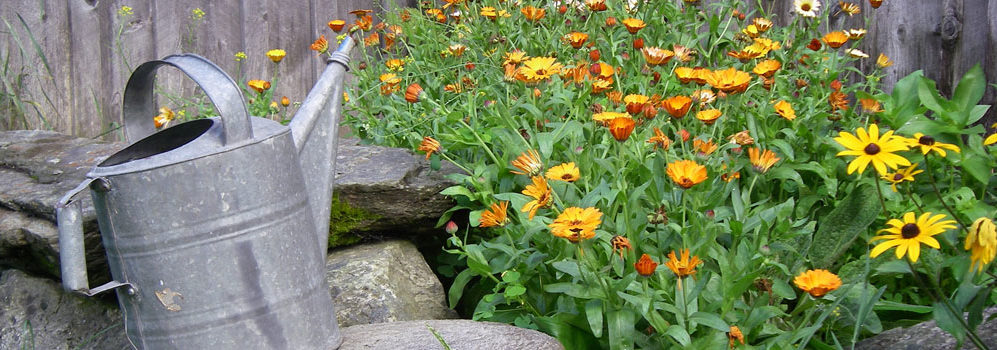 Live bouquet of Spring flowers and antique watering can