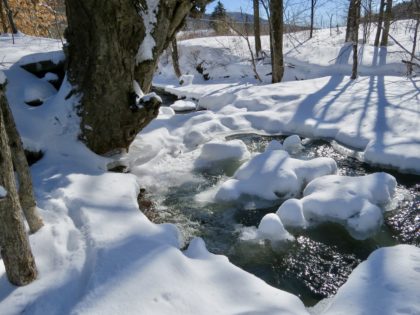 Flint brook 2-snow