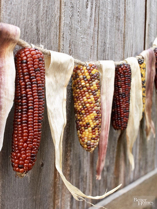 Indian corn