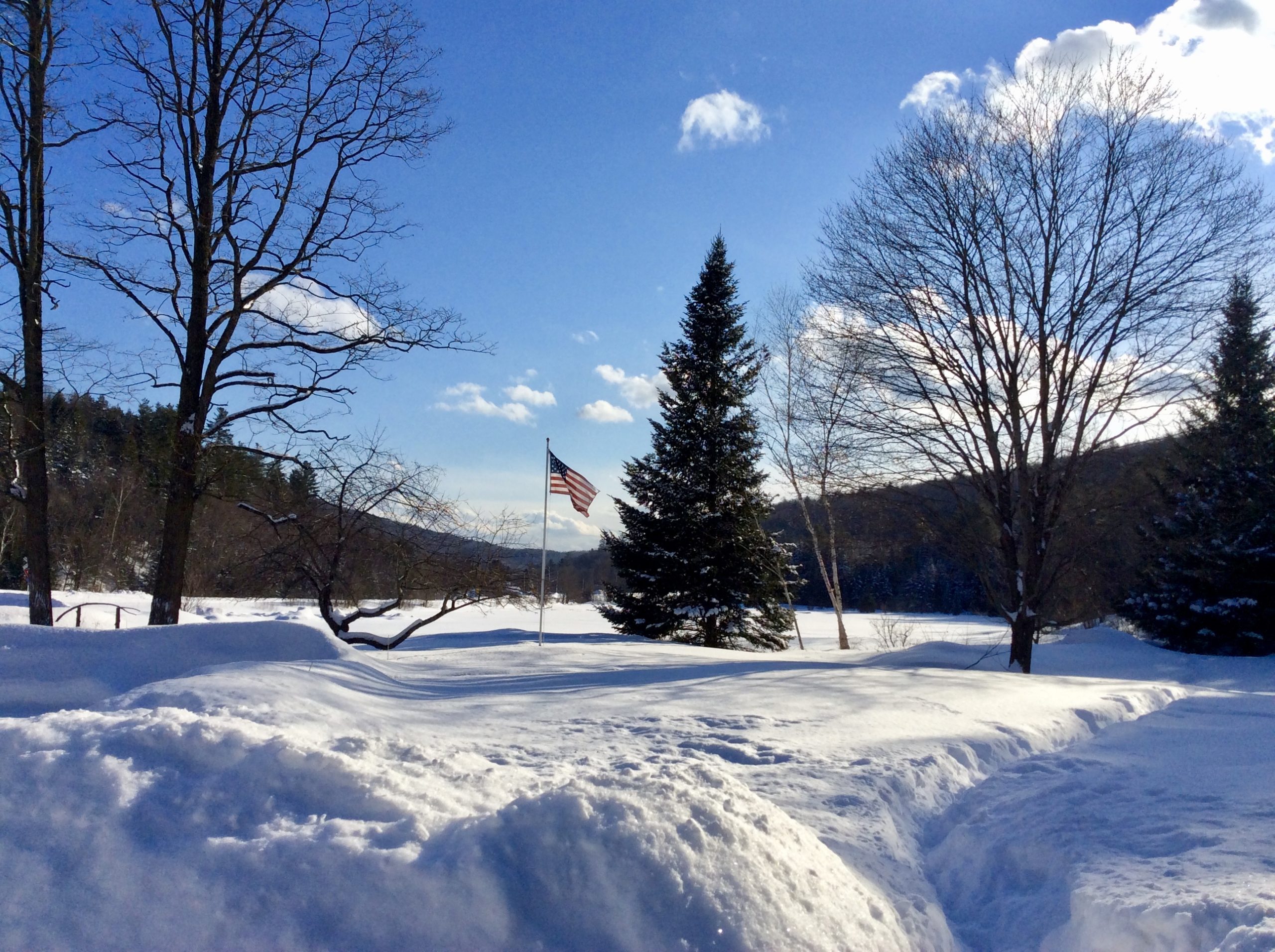 blue sky, American flag, snow clouds trees