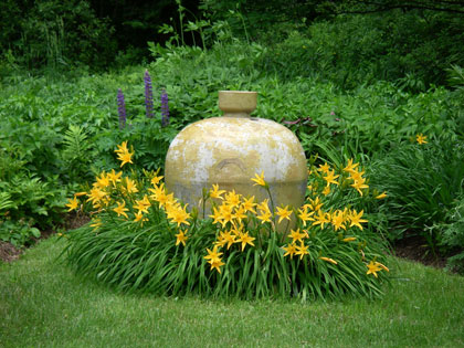 blue lupines, yellow day lilies, yellow jug